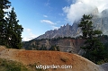 wbgarden alps 43